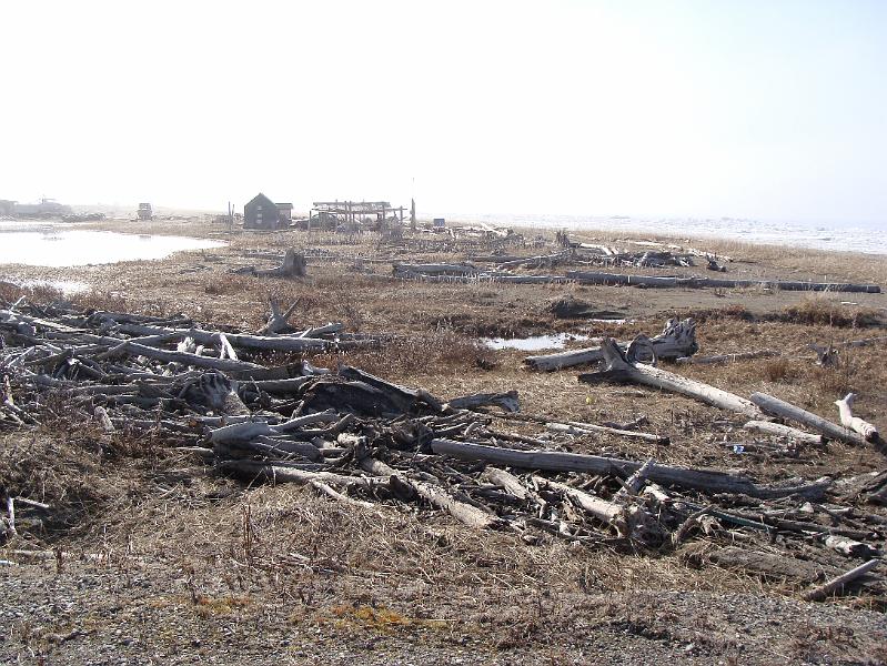 Alaska 2008 059.jpg